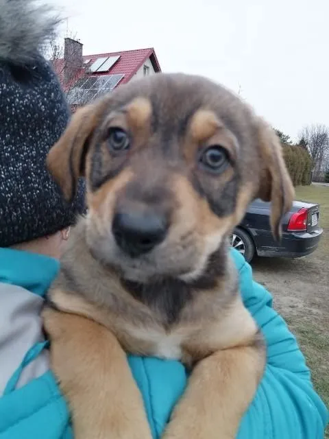 Oddam psa, Warszawa, 14 grudnia 2021 (1/5)