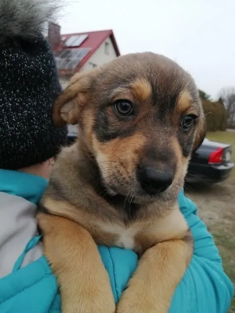 Oddam psa, Warszawa, 14 grudnia 2021 (4/5)