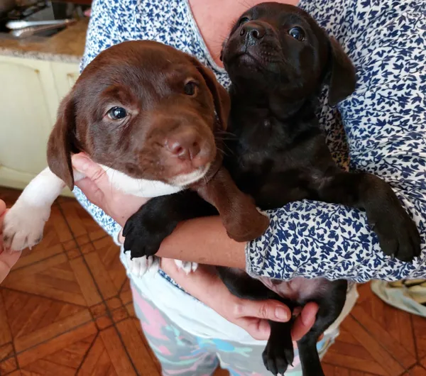 Oddam psa, Bełchatów, 28 grudnia 2021 (4/6)