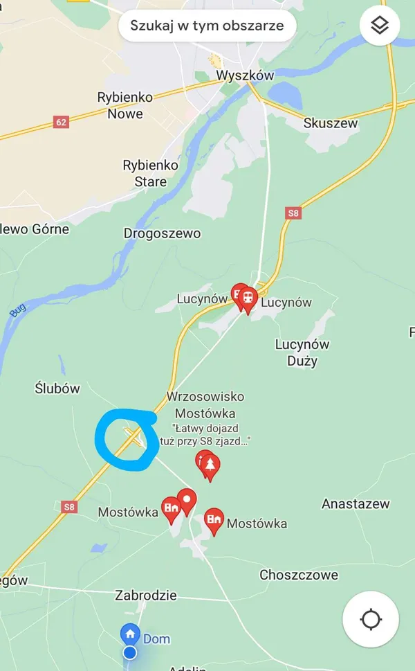 Znaleziono psa, Niegów, 24 kwietnia 2022 (3/3)