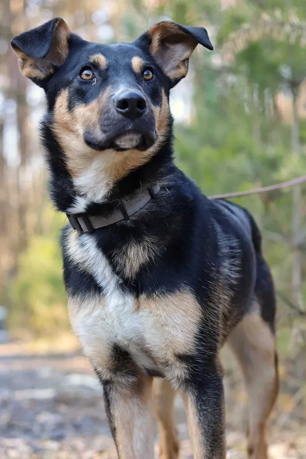 Oddam psa, Bydgoszcz, 28 kwietnia 2022 (8/8)