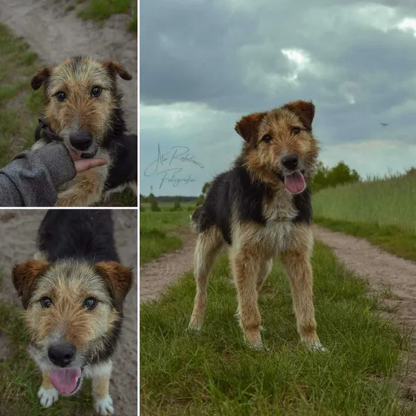 Oddam psa, Lublin, 29 maja 2022 (1/5)