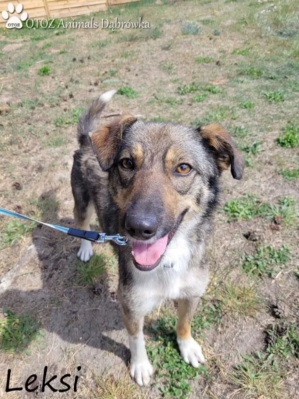 Oddam psa, Wejherowo, 29 maja 2022 (2/4)