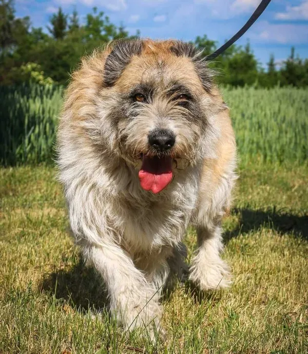 Oddam psa, Kraków, 9 marca 2021 (8/8)