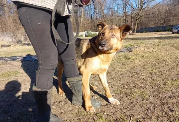 Oddam psa, Zgierz, 11 marca 2022 (2/5)