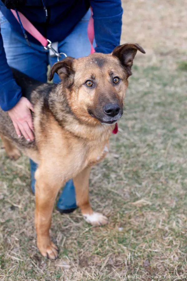 Oddam psa, Zgierz, 11 marca 2022 (5/5)