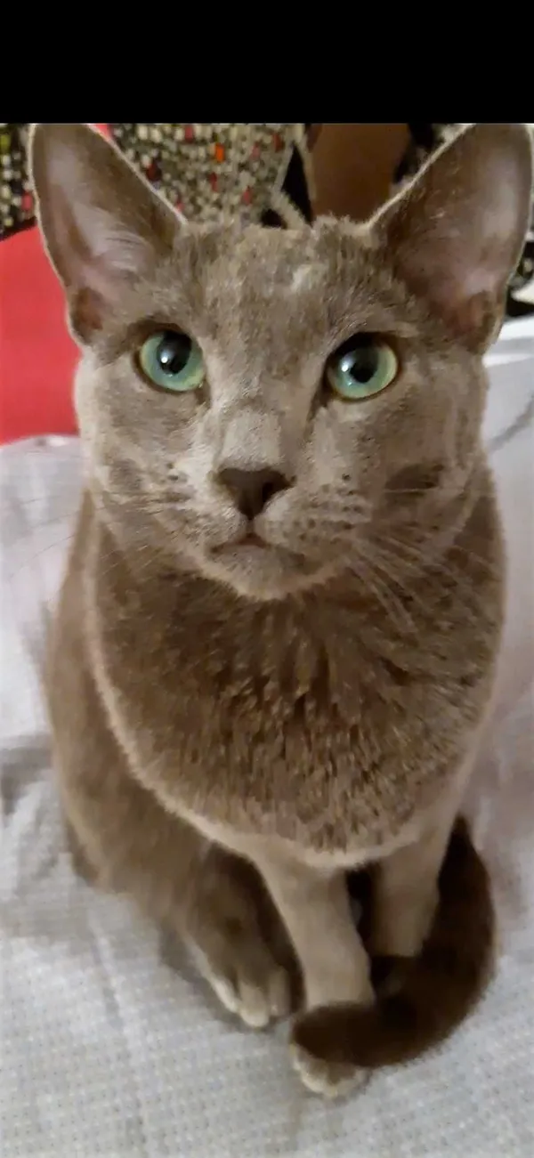 Zaginął kot, Granica, 24 lipca 2022