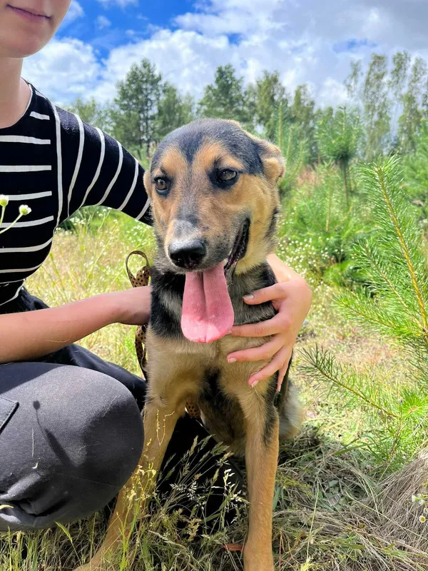 Oddam psa, Warszawa, 26 lipca 2022 (1/8)