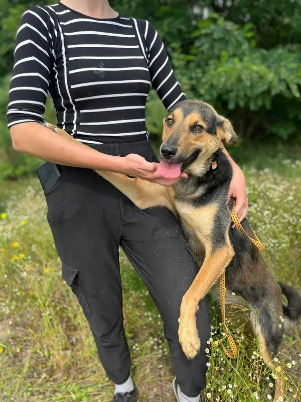 Oddam psa, Warszawa, 26 lipca 2022 (2/8)