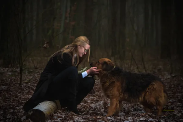 Pies do adopcji, Przyborówko, 28 grudnia 2025 (1/5)