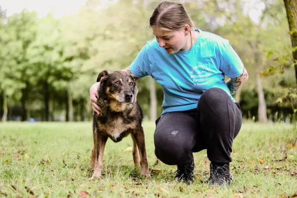 Pies do adopcji, Radom, 18 września 2025 (4/5)