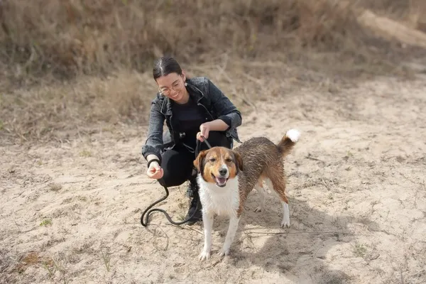 Pies do adopcji, Radom, 17 lipca 2025 (2/5)