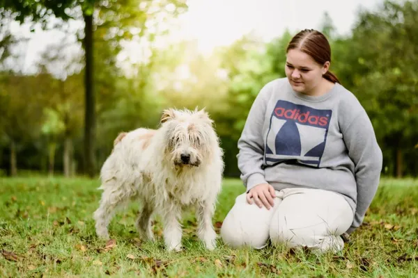 Pies do adopcji, Radom, 29 września 2025 (4/5)