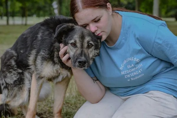 Pies do adopcji, Radom, 20 września 2025 (2/5)