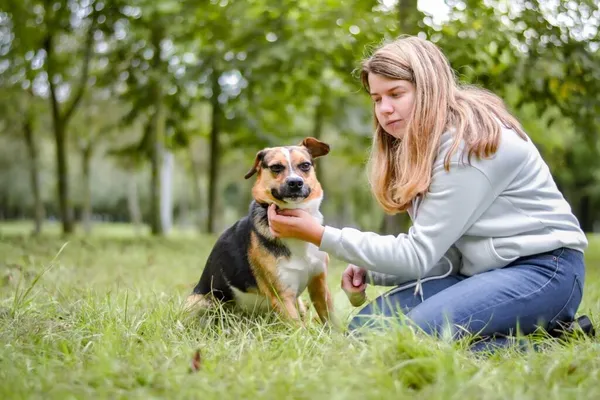 Pies do adopcji, Radom, 16 października 2025 (2/5)