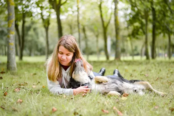 Pies do adopcji, Radom, 16 października 2025 (3/5)