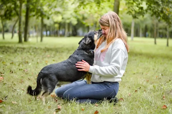 Pies do adopcji, Radom, 16 października 2025 (5/5)