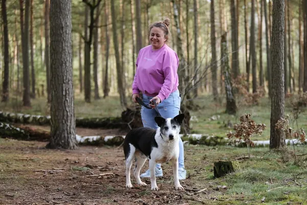 Pies do adopcji, Piła, 12 kwietnia 2019 (2/5)