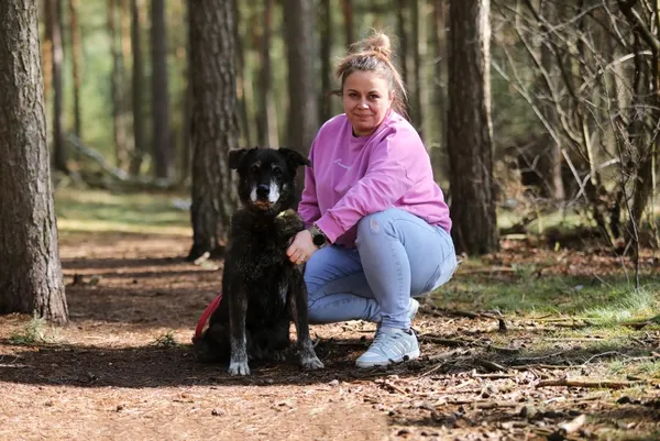 Pies do adopcji, Piła, 21 lutego 2019 (2/5)