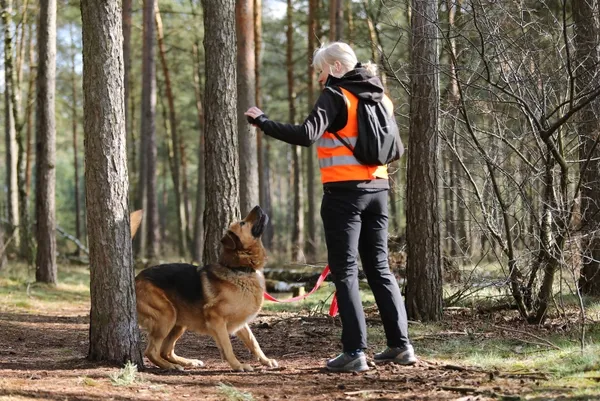 Pies do adopcji, Piła, 16 marca 2021 (2/5)