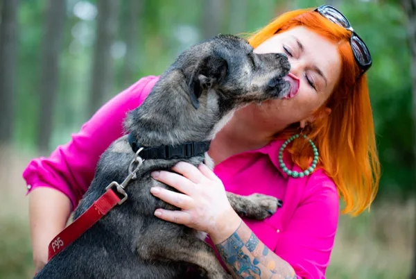 Pies do adopcji, Piła, 30 marca 2018 (4/5)