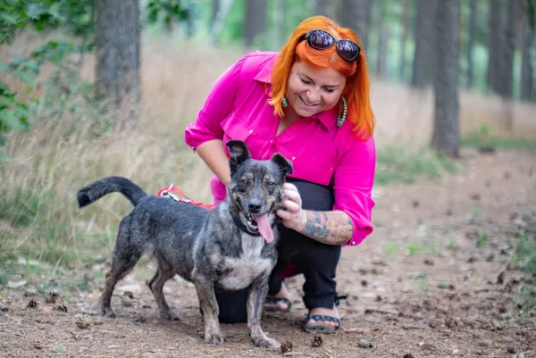 Pies do adopcji, Piła, 30 marca 2018 (5/5)