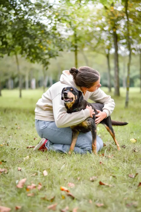 Pies do adopcji, Radom, 16 października 2025 (5/5)