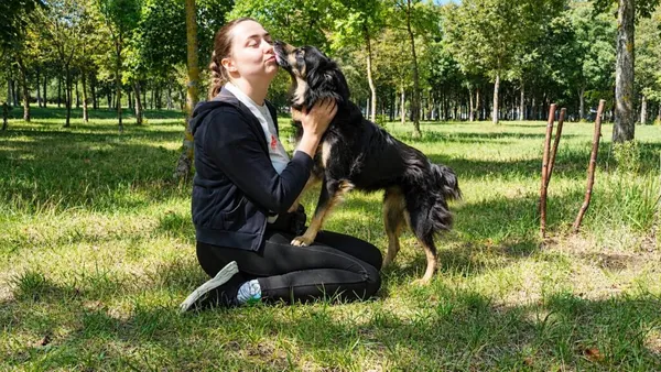 Pies do adopcji, Radom, 7 października 2026 (4/5)