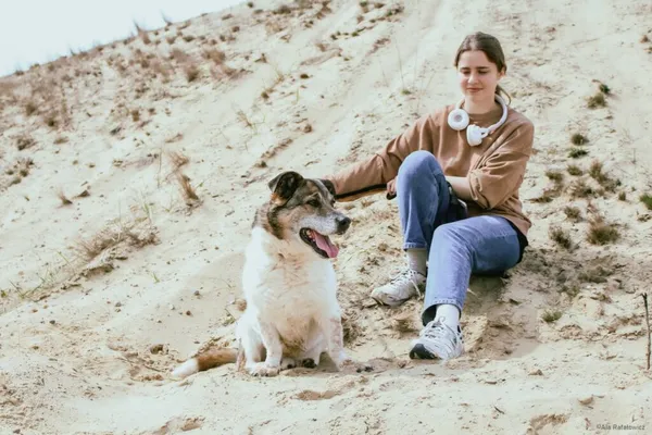 Pies do adopcji, Radom, 18 lipca 2025 (3/5)