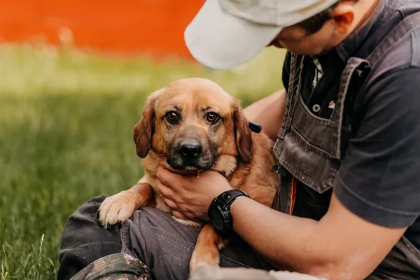 Pies do adopcji, Czartki, 4 lipca 2023 (2/3)