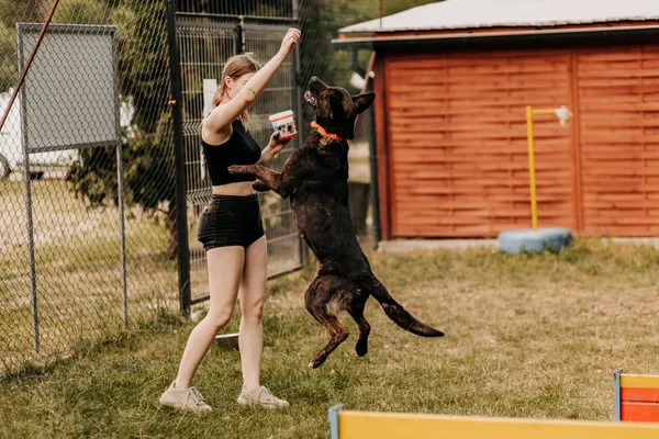 Pies do adopcji, Czartki, 13 lipca 2023 (3/5)