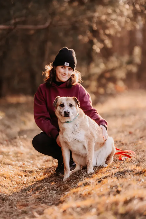 Pies do adopcji, Czartki, 16 sierpnia 2023 (4/5)