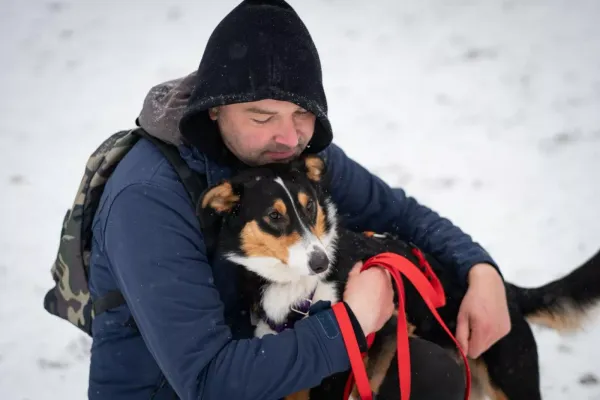 Znaleziono psa, Warszawa, 13 listopada 2023 (3/5)