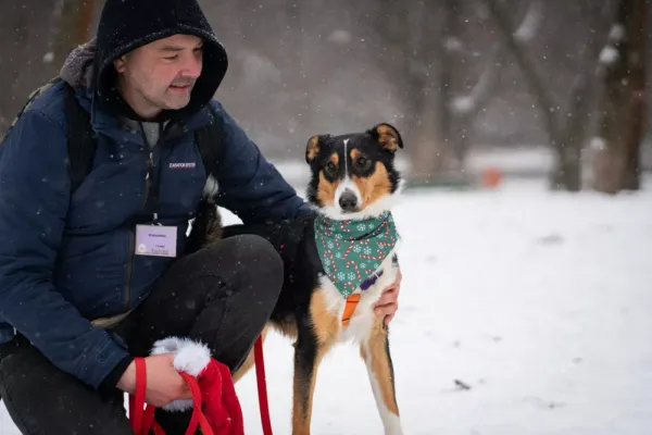 Znaleziono psa, Warszawa, 13 listopada 2023 (4/5)