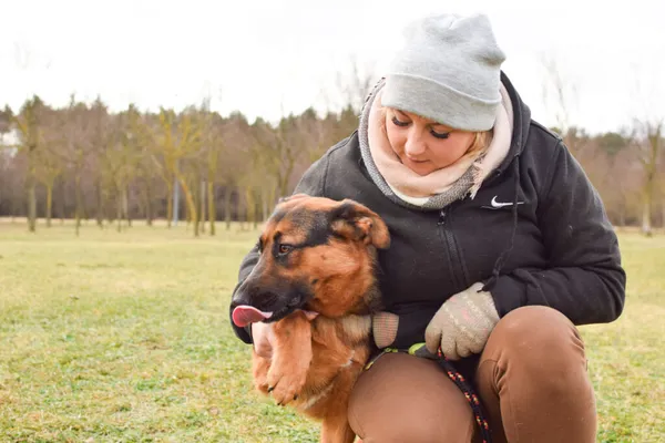 Pies do adopcji, Radom, 4 marca 2024 (3/5)