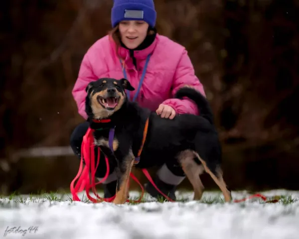 Znaleziono psa, Warszawa, 25 listopada 2023 (5/5)