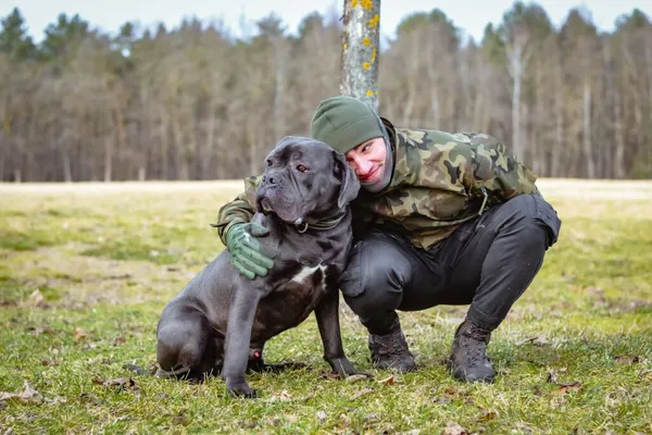 Pies do adopcji, Radom, 14 kwietnia 2024 (5/5)