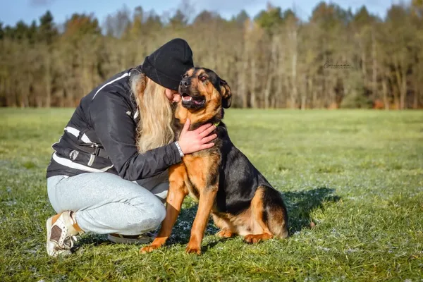 Pies do adopcji, Radom, 13 grudnia 2023 (3/5)