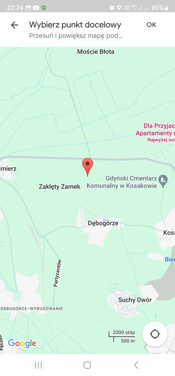 Zaginął pies, Dębogórze, 31 grudnia 2023 (2/5)