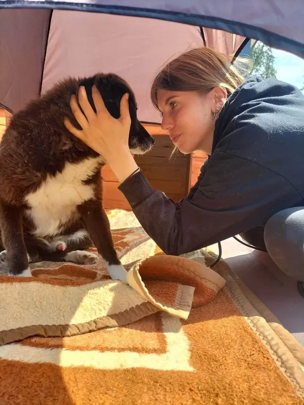 Oddam psa, Olsztyn, Grunwaldzkie, 17 stycznia 2024 (2/3)