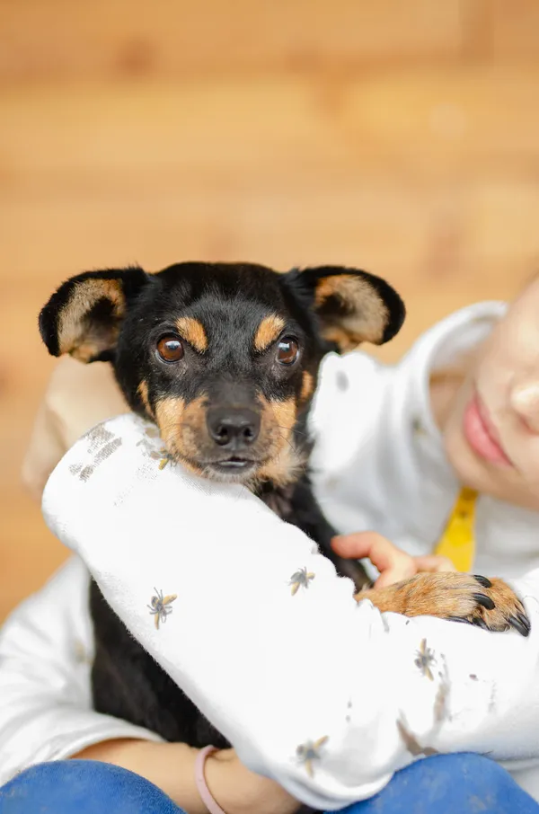 Oddam psa, Olsztyn, Osiedle nad Jeziorem Długim, 17 stycznia 2024 (5/5)