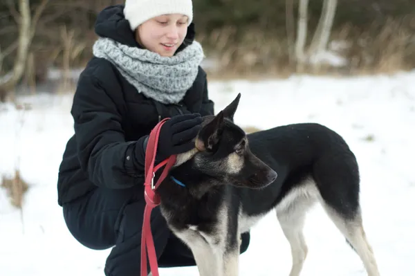Pies do adopcji, Nowodwór, 19 stycznia 2024 (4/5)
