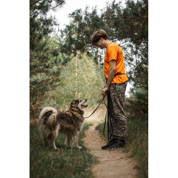 Znaleziono psa, Białystok, 31 grudnia 2023 (4/5)