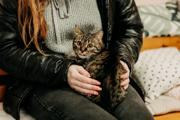 Kot do adopcji, Czartki, 16 lutego 2024 (4/5)