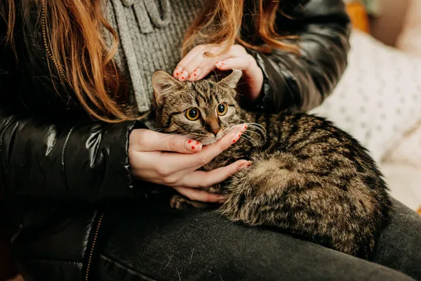 Kot do adopcji, Czartki, 16 lutego 2024 (5/5)