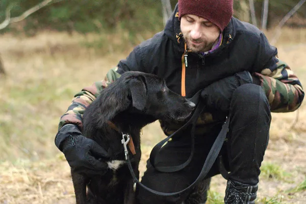 Pies do adopcji, Nowodwór, 16 lutego 2024 (3/5)