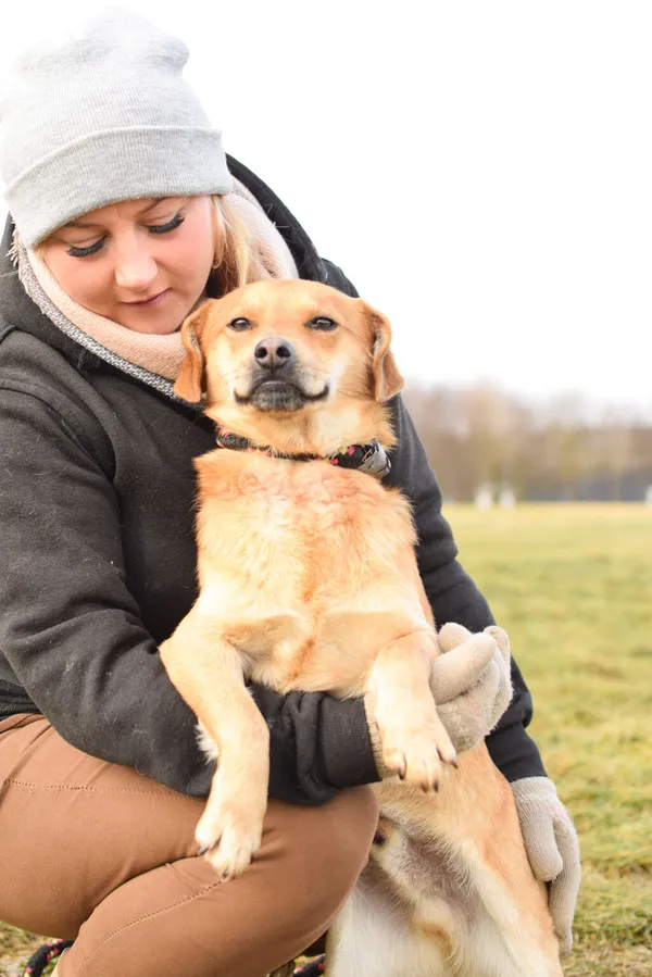 Pies do adopcji, Radom, 18 lutego 2024 (3/5)