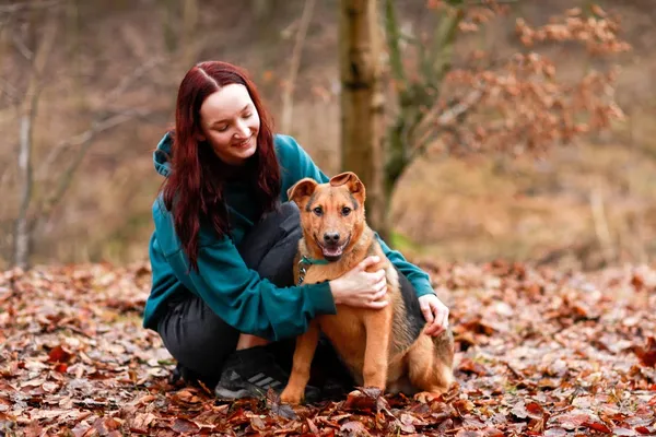 Pies do adopcji, Elbląg, 1 lutego 2024 (2/5)