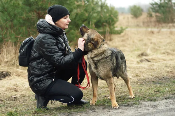 Pies do adopcji, Nowodwór, 24 lutego 2024 (1/5)