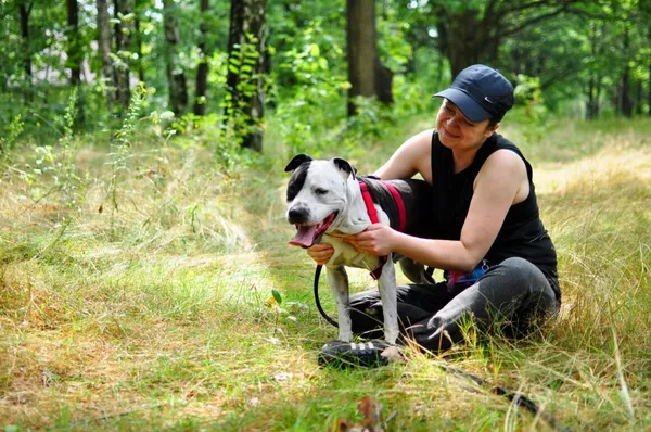 Pies do adopcji, Milanówek, 12 lutego 2024 (4/5)